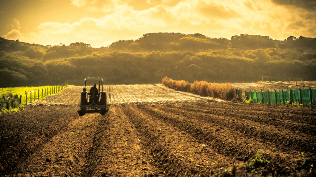 Agriculture IMG