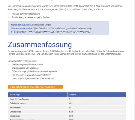 Screenshot EASM report DE 1